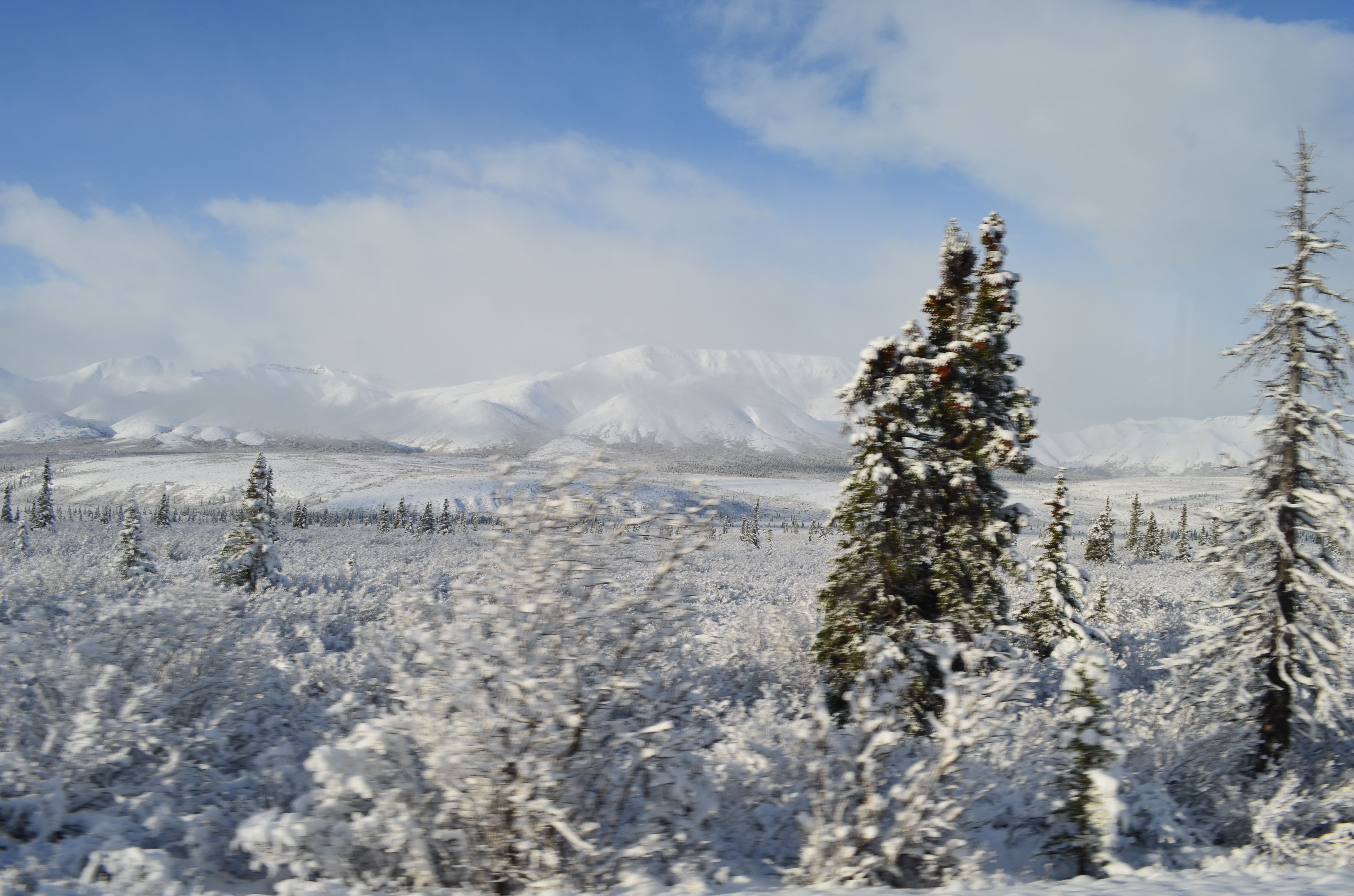 ./2017/08 - Alaska Cruise/03 - Denali/DSC_0223.JPG